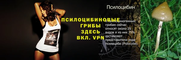 дмт Балахна