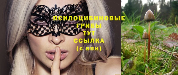 дмт Балахна