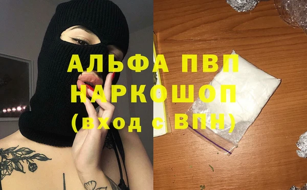гидра Зеленокумск