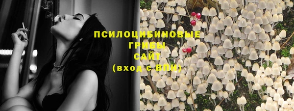 дмт Балахна