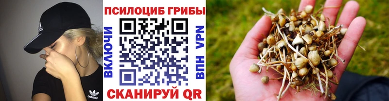 блэк спрут вход  Лакинск  Галлюциногенные грибы мицелий  наркошоп 